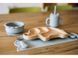 Силіконова миска дитяча FreeOn Bear, grey 46323 фото 4