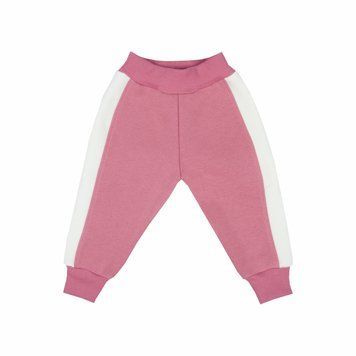 Штани дитячі унісекс Gabbi BR-24-13 тринитка начіс зима р. 92 пудра 68649 фото