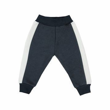 Штани дитячі унісекс Gabbi BR-24-13 тринитка начіс зима р. 92 сірий темний 68658 фото