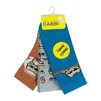 Шкарпетки дитячі демісезонні для хлопчика з антиковзанням Gabbi NSD-1003 р. 12-14 71794 фото